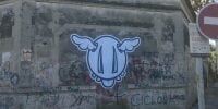 dface_buenos_aires2.jpg